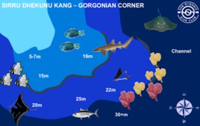Sirru Faru Dhekunu Kang